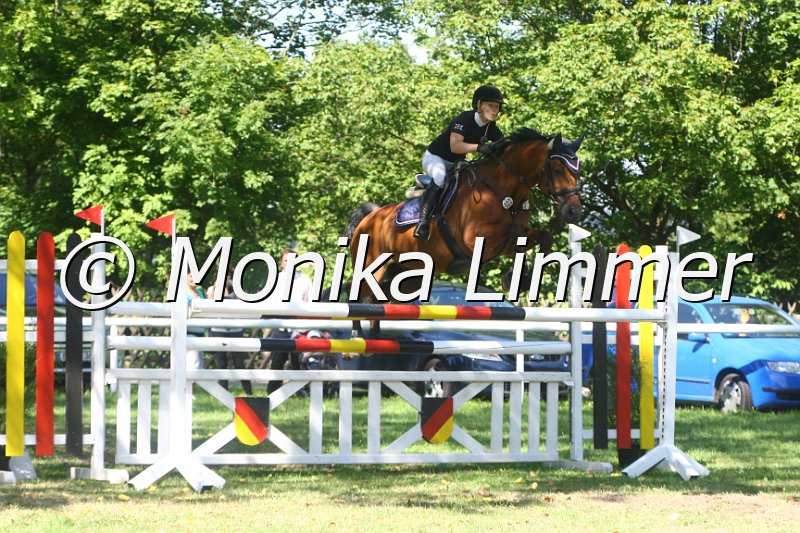 308M1752_Avalon_Spring Mxx.JPG